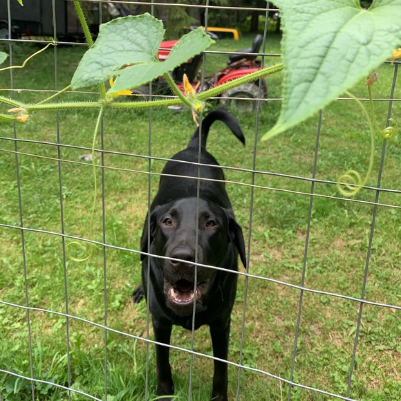 Meet your Posher, Imelynda - Picture 1 of 1